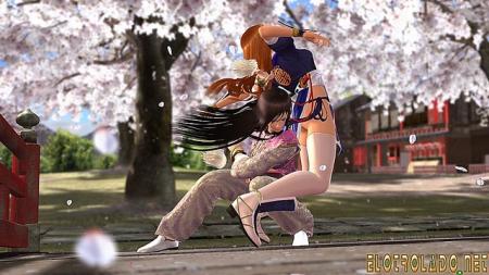 Dead or alive 4