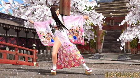 Dead or alive 4